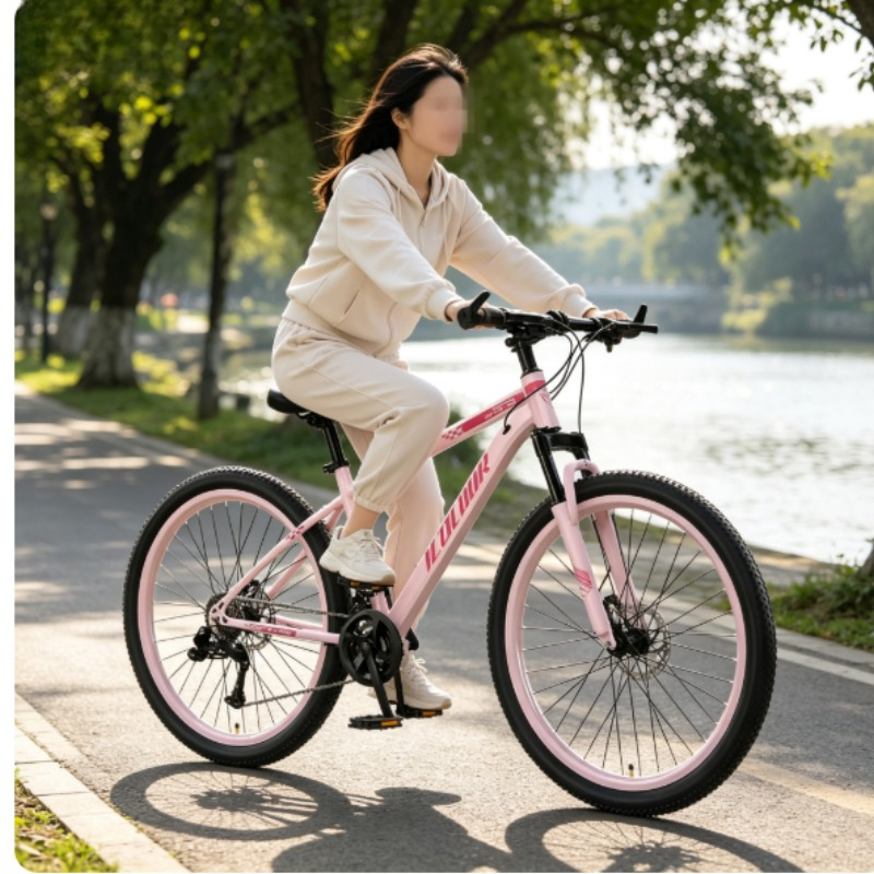 Volwassen mannen vrouwen 24 in - Cycling Commute Speed recensie en prijs